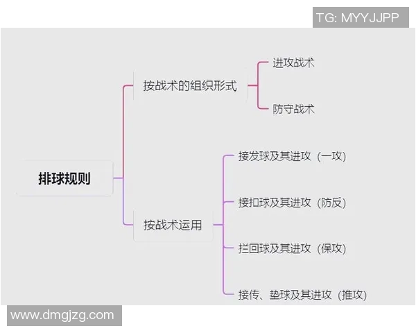 广州排球队中路突破分析与战术调整的得失总结